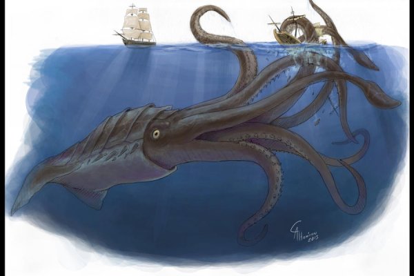 Kraken актуальное