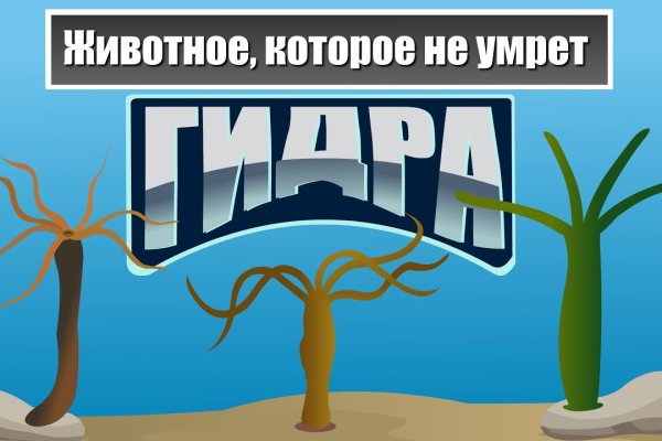 Кракен не работает тор