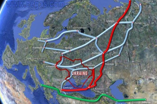 Как вывести деньги с кракена